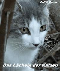 Das Lächeln der Katzen - Judith Cramer - E-Book