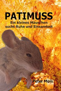 P A T I M U S S - Peter Mois - E-Book