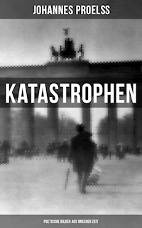 Katastrophen: Poetische Bilder aus unserer Zeit - Johannes Proelß - E-Book