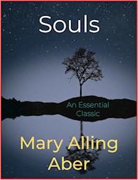 Souls - Mary Alling Aber - E-Book