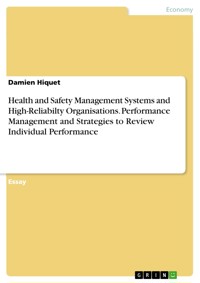 Health and Safety Management Systems and High-Reliabilty Organisations. Performance Management and Strategies to Review Individual Performance - Damien Hiquet - E-Book