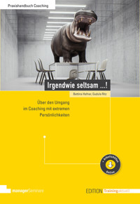 Irgendwie seltsam ...! - Bettina Hafner - E-Book