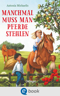 Manchmal muss man Pferde stehlen - Antonia Michaelis - E-Book