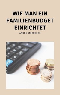 Wie man ein Familienbudget einrichtet - Andre Sternberg - E-Book