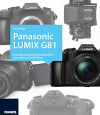 Kamerabuch Panasonic Lumix G81 - Michael Nagel - E-Book