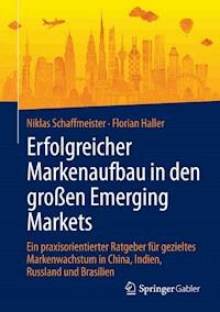 Erfolgreicher Markenaufbau in den großen Emerging Markets - Niklas Schaffmeister - E-Book