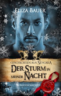 Der Sturm in meiner Nacht - Eliza Bauer - E-Book
