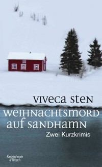 Weihnachtsmord auf Sandhamn - Viveca Sten - E-Book