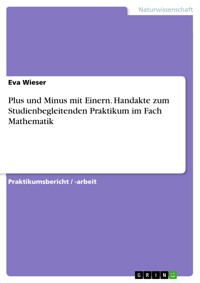 Plus und Minus mit Einern. Handakte zum Studienbegleitenden Praktikum im Fach Mathematik - Eva Wieser - E-Book