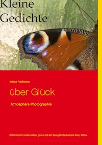 Kleine Gedichte über Glück - Wilma Rodionow - E-Book