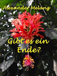 Gibt es ein Ende? - Alexander Melang - E-Book
