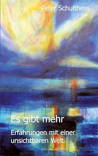 Es gibt mehr - Peter Schulthess - E-Book