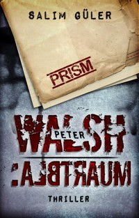 Peter Walsh :ALBTRAUM - Salim Güler - E-Book