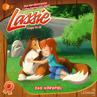 Folgen 13-15: Wo ist Lassie? - Irene Timm - Hörbuch
