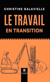 Le travail en transition - Christine Galavielle - E-Book