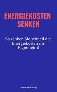 Energiekosten senken - Andre Sternberg - E-Book