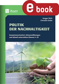 Politik der Nachhaltigkeit - Ansgar Stich - E-Book
