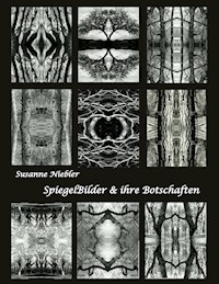 SpiegelBilder und ihre Botschaften - Susanne Niebler - E-Book