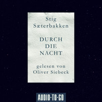 Durch die Nacht (Ungekürzt) - Stig Saeterbakken - Hörbuch