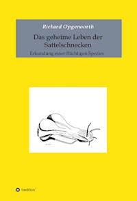 Das geheime Leben der Sattelschnecken - Richard Opgenoorth - E-Book