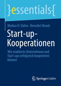 Start-up-Kooperationen - Markus H. Dahm - E-Book