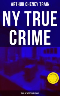 NY True Crime: Turn of the Century Cases - Arthur Cheney	Train - E-Book
