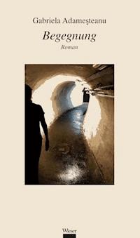 Begegnung - Gabriela Adameșteanu - E-Book