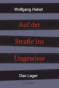 Auf der Straße ins Ungewisse - Wolfgang Habel - E-Book