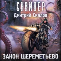 Закон Шереметьево - Дмитрий Силлов - Hörbuch