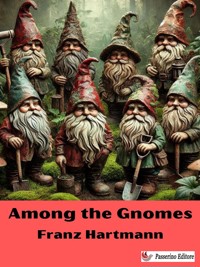 Among the Gnomes - Franz Hartmann - E-Book