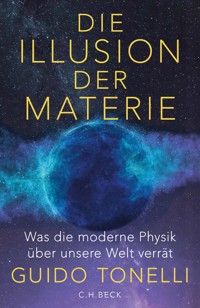 Die Illusion der Materie - Guido Tonelli - E-Book