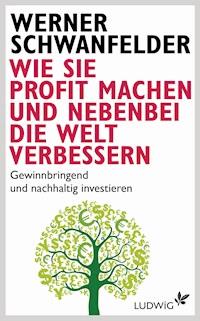 Wie Sie Profit machen und nebenbei die Welt verbessern - Werner Schwanfelder - E-Book