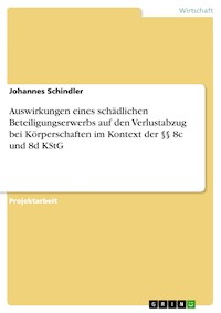 Auswirkungen eines schädlichen Beteiligungserwerbs auf den Verlustabzug bei Körperschaften im Kontext der §§ 8c und 8d KStG - Johannes Schindler - E-Book