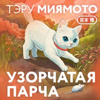 Узорчатая парча - Тэру Миямото - Hörbuch