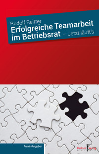 Erfolgreiche Teamarbeit im Betriebsrat - Rudolf Reitter - E-Book