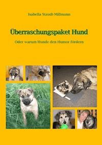 Überraschungspaket Hund - Isabella Staudt-Millmann - E-Book