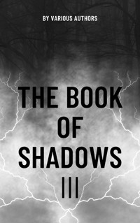 The Book of Shadows Vol 3 - Mary Elizabeth Penn - E-Book