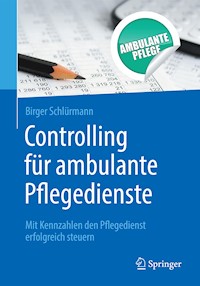 Controlling für ambulante Pflegedienste - Birger Schlürmann - E-Book