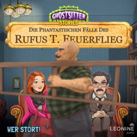 Die phantastischen Fälle des Rufus T. Feuerflieg 29 - Wer stört! - Tommy Krappweis - Hörbuch