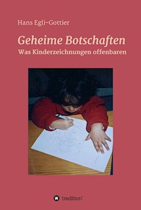 Geheime Botschaften - Hans Egli-Gottier - E-Book