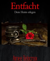 Entfacht - Aimee Delacroix - E-Book