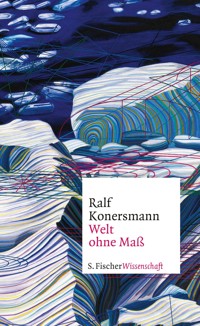 Welt ohne Maß - Ralf Konersmann - E-Book