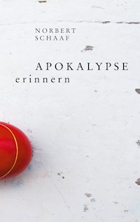 Apokalypse erinnern - Norbert Schaaf - E-Book