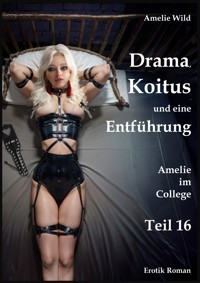 Drama, Koitus und eine Entführung - Amelie Wild - E-Book