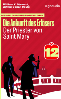 Der Priester von Saint Mary - William K. Stewart - E-Book