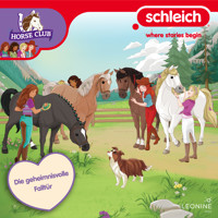 Folge 31: Die geheimnisvolle Falltür - Susanne Korff-Knoblauch - Hörbuch