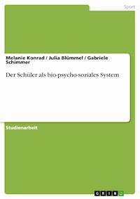 Der Schüler als bio-psycho-soziales System - Melanie Konrad - E-Book