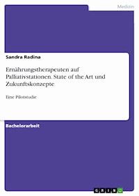 Ernährungstherapeuten auf Palliativstationen. State of the Art und Zukunftskonzepte - Sandra Radina - E-Book