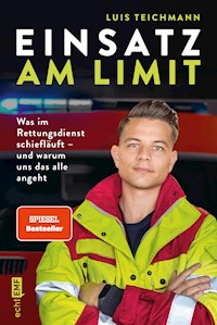 Einsatz am Limit - Luis Teichmann - E-Book