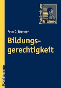 Bildungsgerechtigkeit - Peter J. Brenner - E-Book